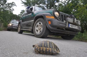 Funkcjonariusze NOSG wyjechali na misję do Macedonii