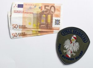 Imitacja dolarów i euro na granicy