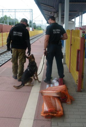 Zabezpieczanie papierosów pochodzących z przemytu