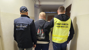Funkcjonariusze Straży Granicznej oraz Europolu zatrzymują członków zorganizowanej grupy przestępczej