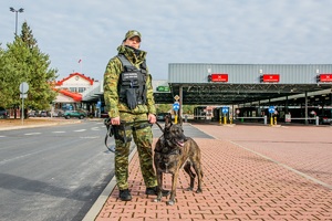 Przewodniczka psa służbowego SG podczas realizacji zadań służbowych związanych z ochroną granicy państwowej
