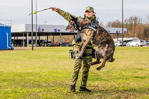 Przewodniczka psa służbowego SG podczas realizacji zadań służbowych związanych z ochroną granicy państwowej