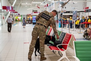 Funkcjonariusz SG razem z psem służbowym sprawdza bagaż na terenie hali portu lotniczego