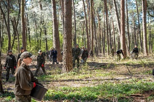 Sadzenie buków w Lesie Borek