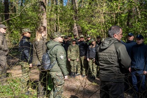 Sadzenie buków w Lesie Borek