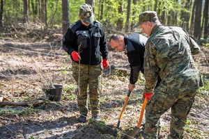 Sadzenie buków w Lesie Borek